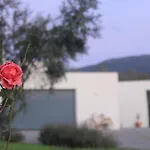 Fabulous 5 Bedroom Hidden Gem Serra Da Estrela *