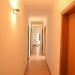 Fabulous 5 Bedroom Hidden Gem Serra Da Estrela
