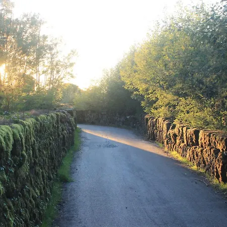 Fabulous 5 Bedroom Hidden Gem Serra Da Estrela * Vinho (Guarda)