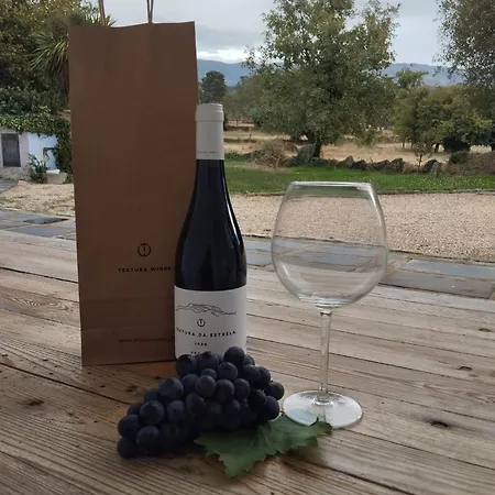 Fabulous 5 Bedroom Hidden Gem Serra Da Estrela Casa de Férias Vinho (Guarda)