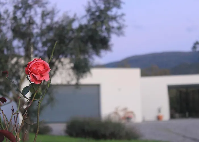 Fabulous 5 Bedroom Hidden Gem Serra Da Estrela *