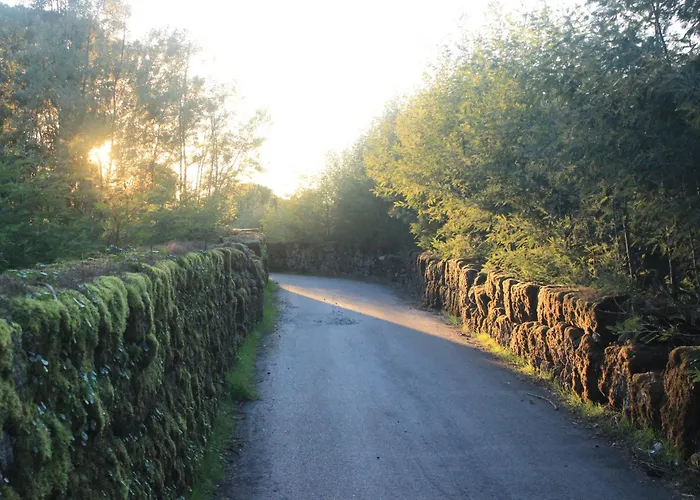 Fabulous 5 Bedroom Hidden Gem Serra Da Estrela * Vinho (Guarda)