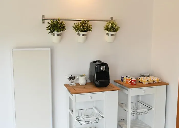 Fabulous 5 Bedroom Hidden Gem Serra Da Estrela Casa vacanze Vinho (Guarda)