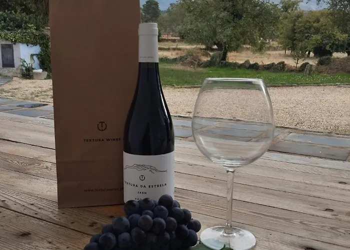 Fabulous 5 Bedroom Hidden Gem Serra Da Estrela Casa vacanze Vinho (Guarda)